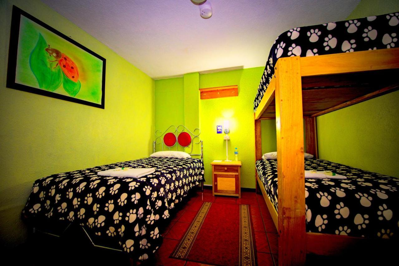 Mirador Oro Verde Quilotoa Zumbagua Exteriör bild